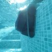 Dolphin LIBERTY 200 - Draadloze zwembadrobot