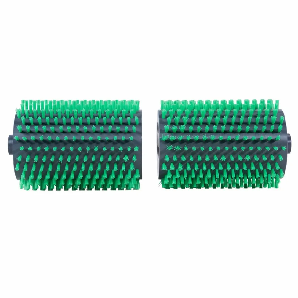 AquaForte Biopool plus borstelset voor Zodiac Alpha Bio