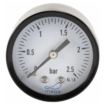 Drukmeter voor zwembadwater, meet waterdruk in bar voor optimale waterkwaliteit.