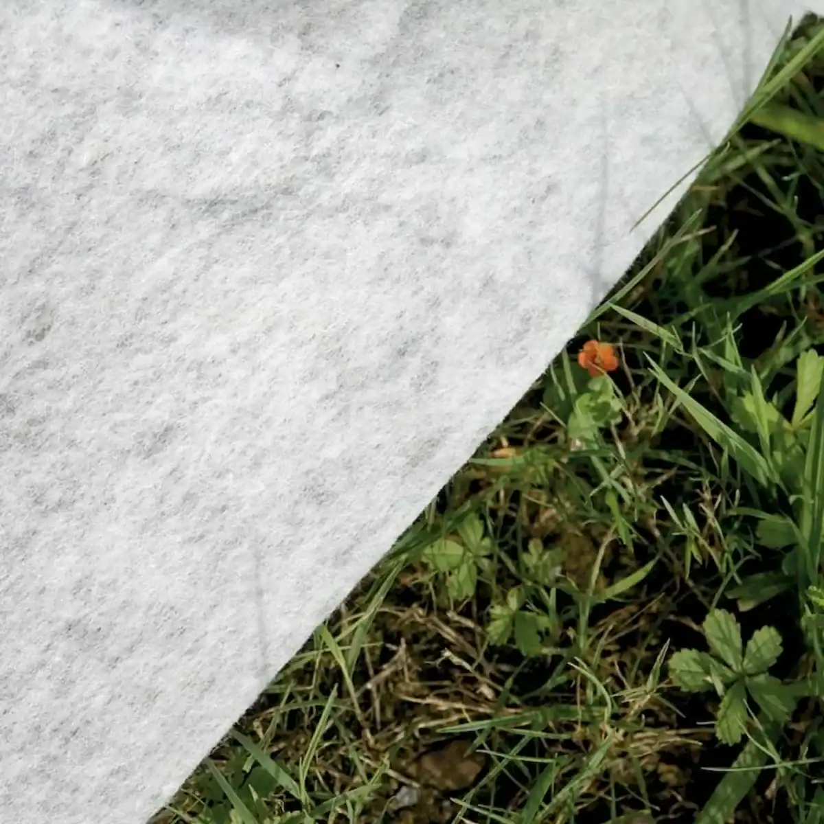 Gré Avantgarde composiet zwembad op gras, 326x186x96 cm.