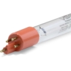 UV-C desinfectielamp voor zwembadreiniging en hygiëne.