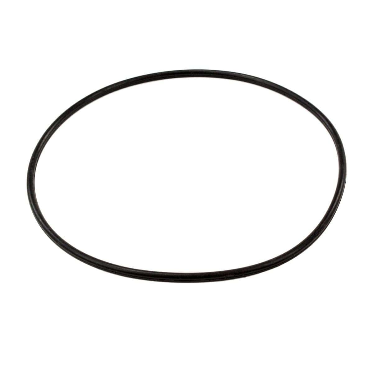 O-Ring voor Mega Pool zwembadpomp