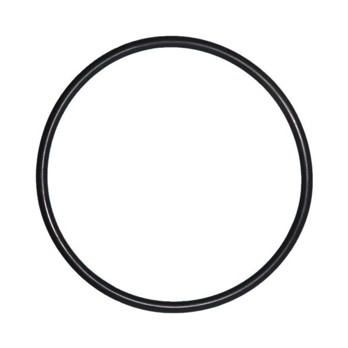 O-Ring voor Deksel Speck EcoTouch zwembadpomp